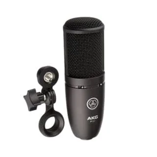 AKG P120