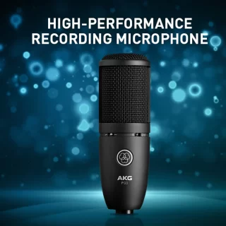 Akgperception120bk 1