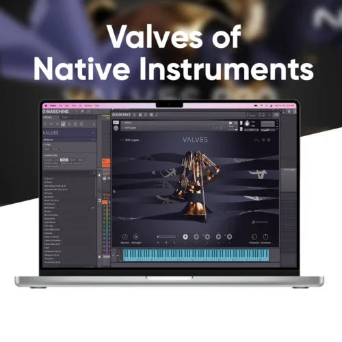 Native Instruments Valves | Thư viện nhạc cụ Kontakt